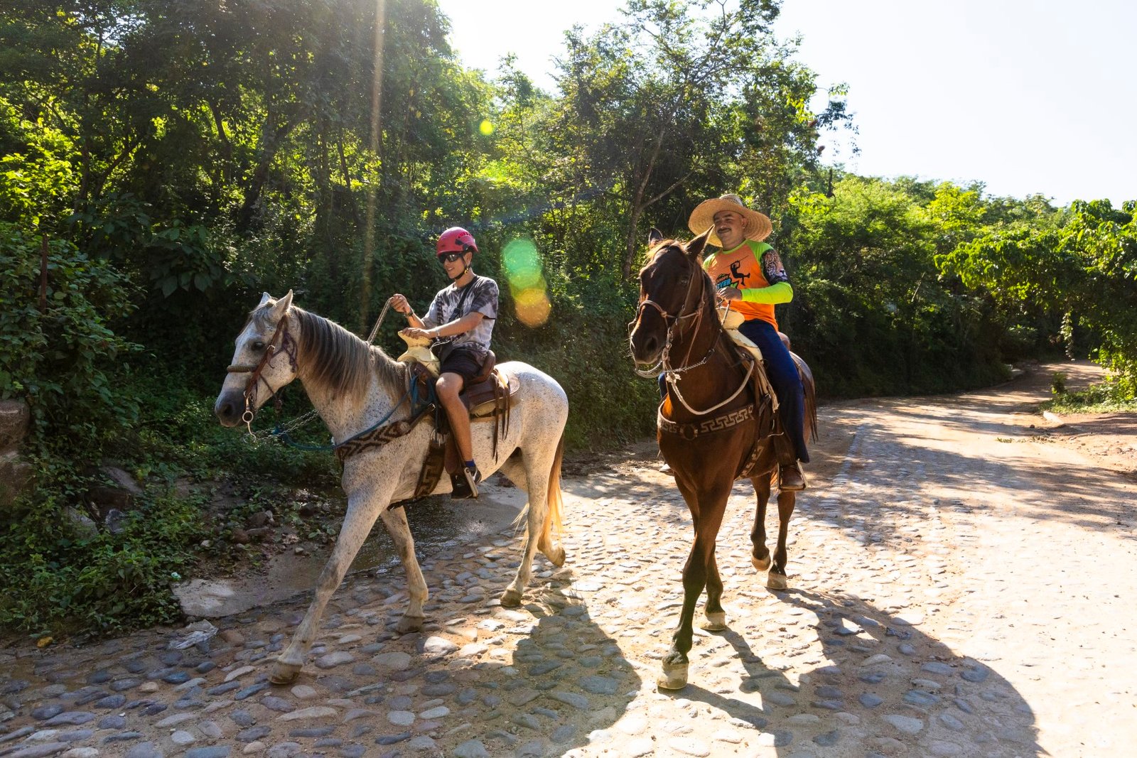 Cabalgata por la Sierra