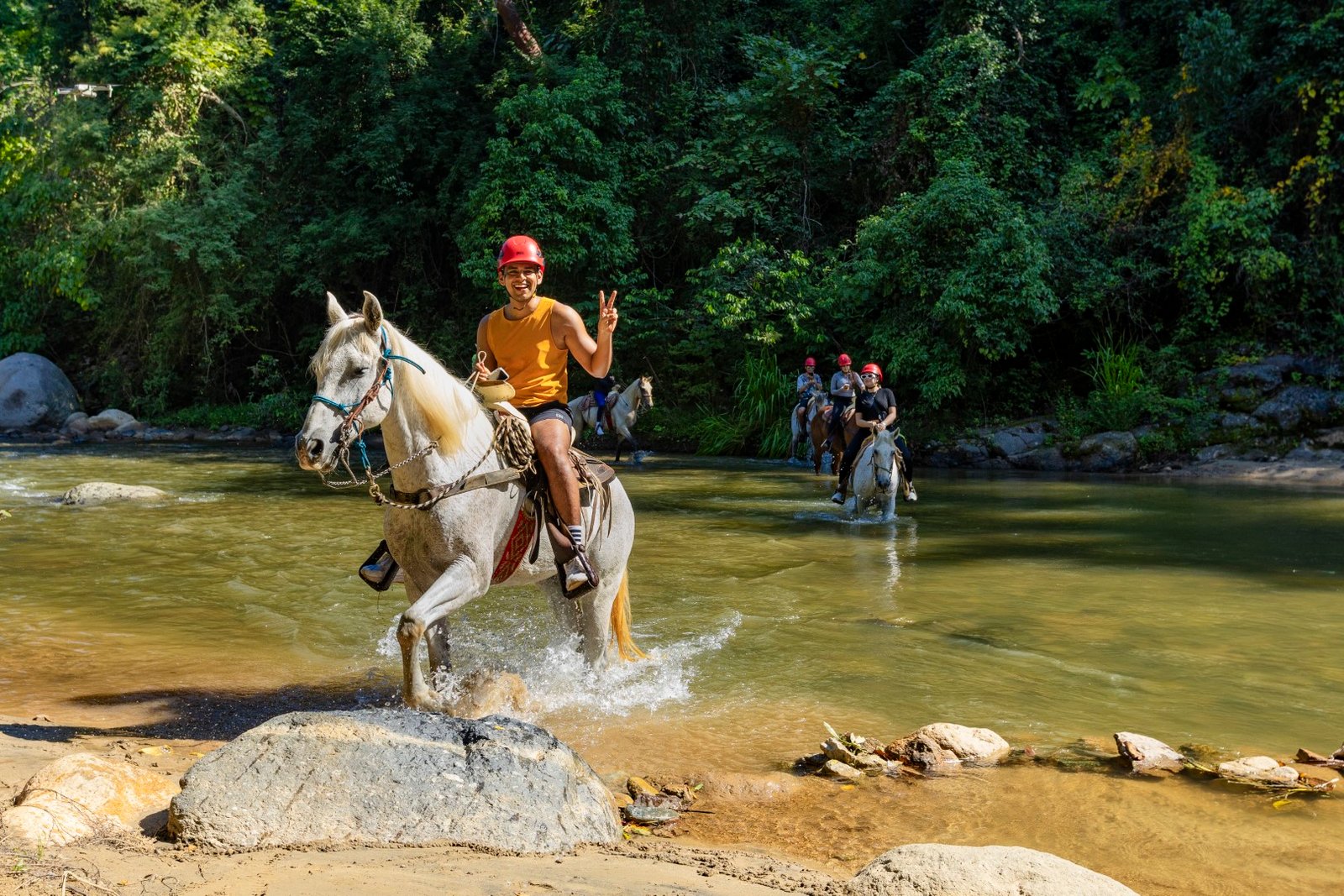 Cabalgata por la Sierra